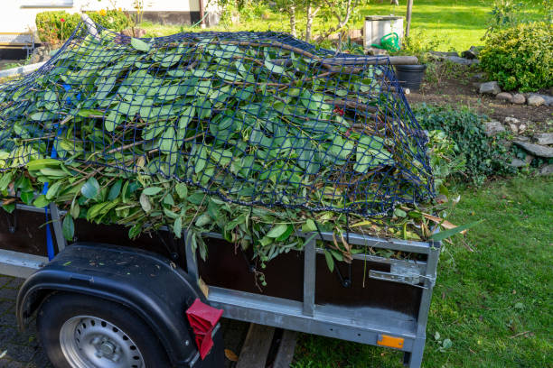 Best Mattress Disposal  in Newcomerstown, OH